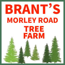 image of Christmas wreaths at Brant's Morley Road Christmas Tree Farm